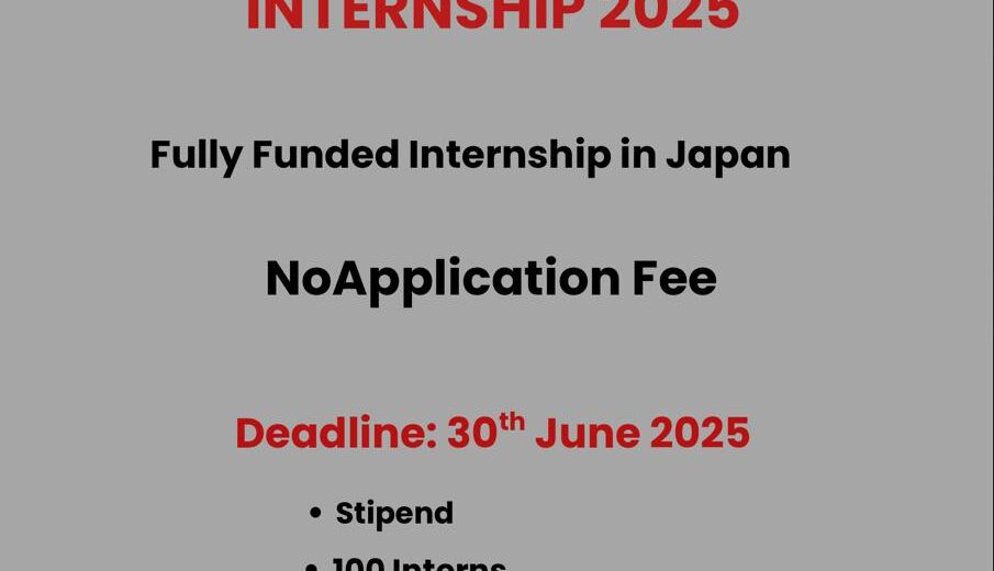 METI Government of Japan Internship