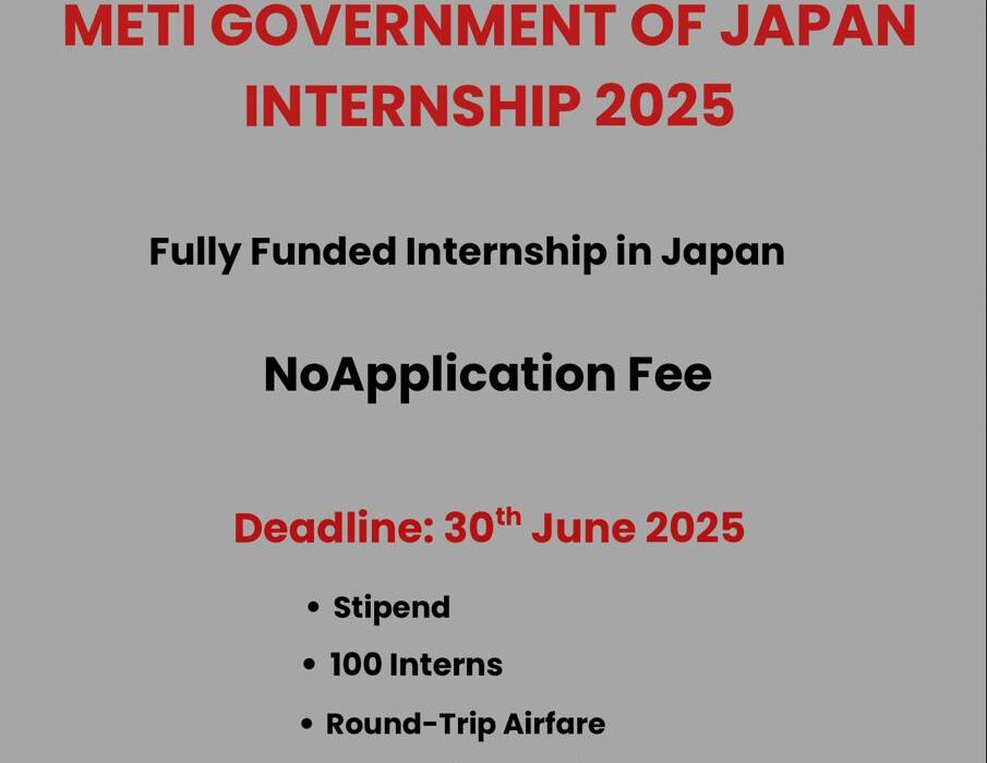 METI Government of Japan Internship