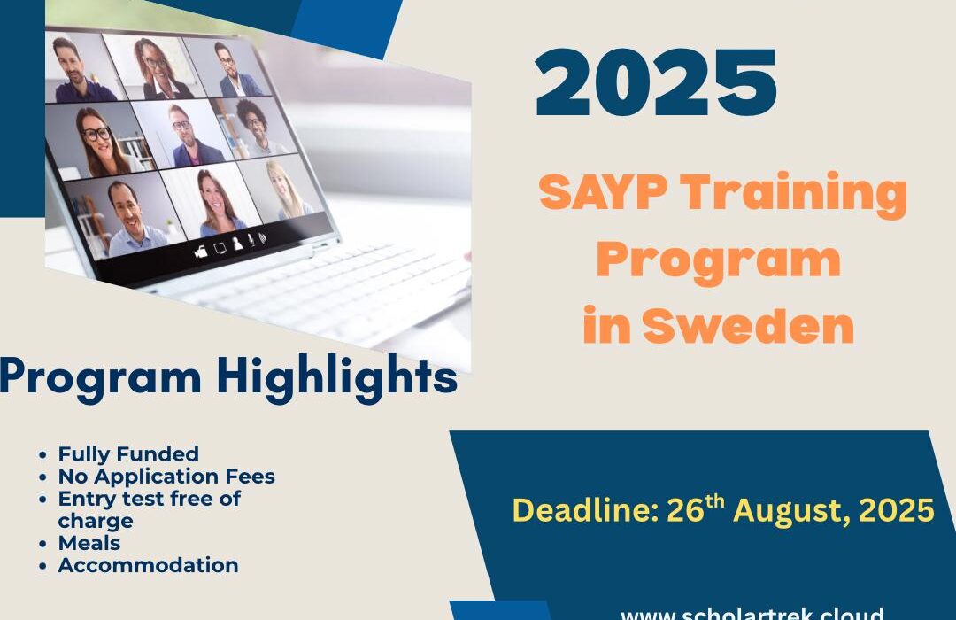 Swedish Institute SAYP Training