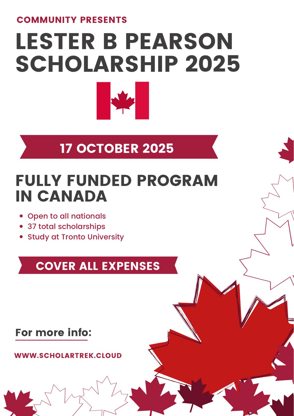 Lester B Pearson Scholarship