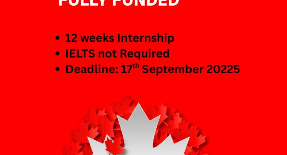 MITACS Globalink Research Internship