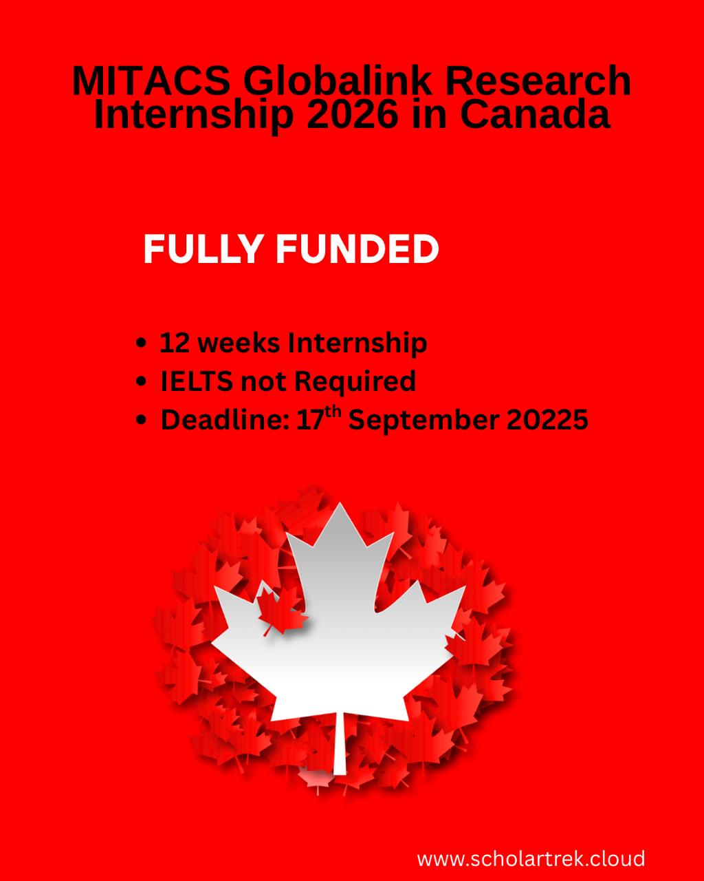 MITACS Globalink Research Internship