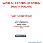 How to Apply for the University of Miami Stamps Scholarship 2025/26 in the USA