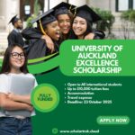 How to Apply for the Swedish Institute SI Global Scholarship 2026