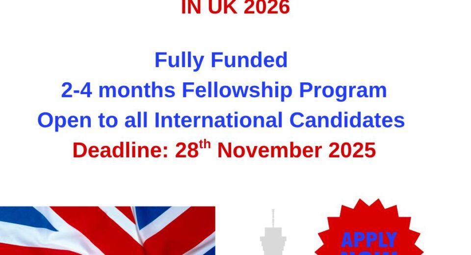 Global Development Fellowship 2026